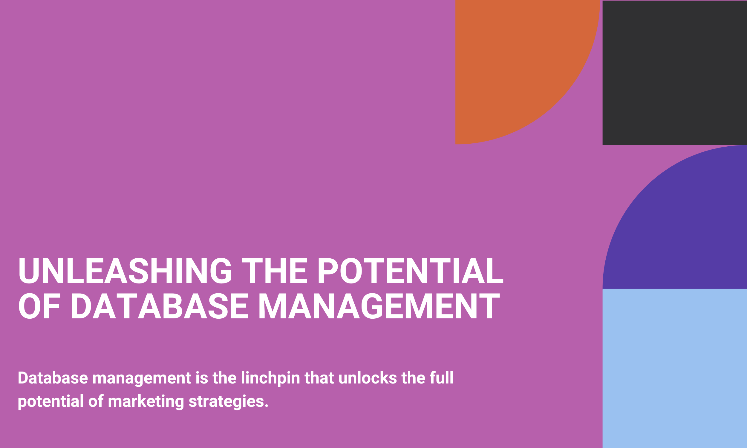 Unleashing the Potential of Database Management