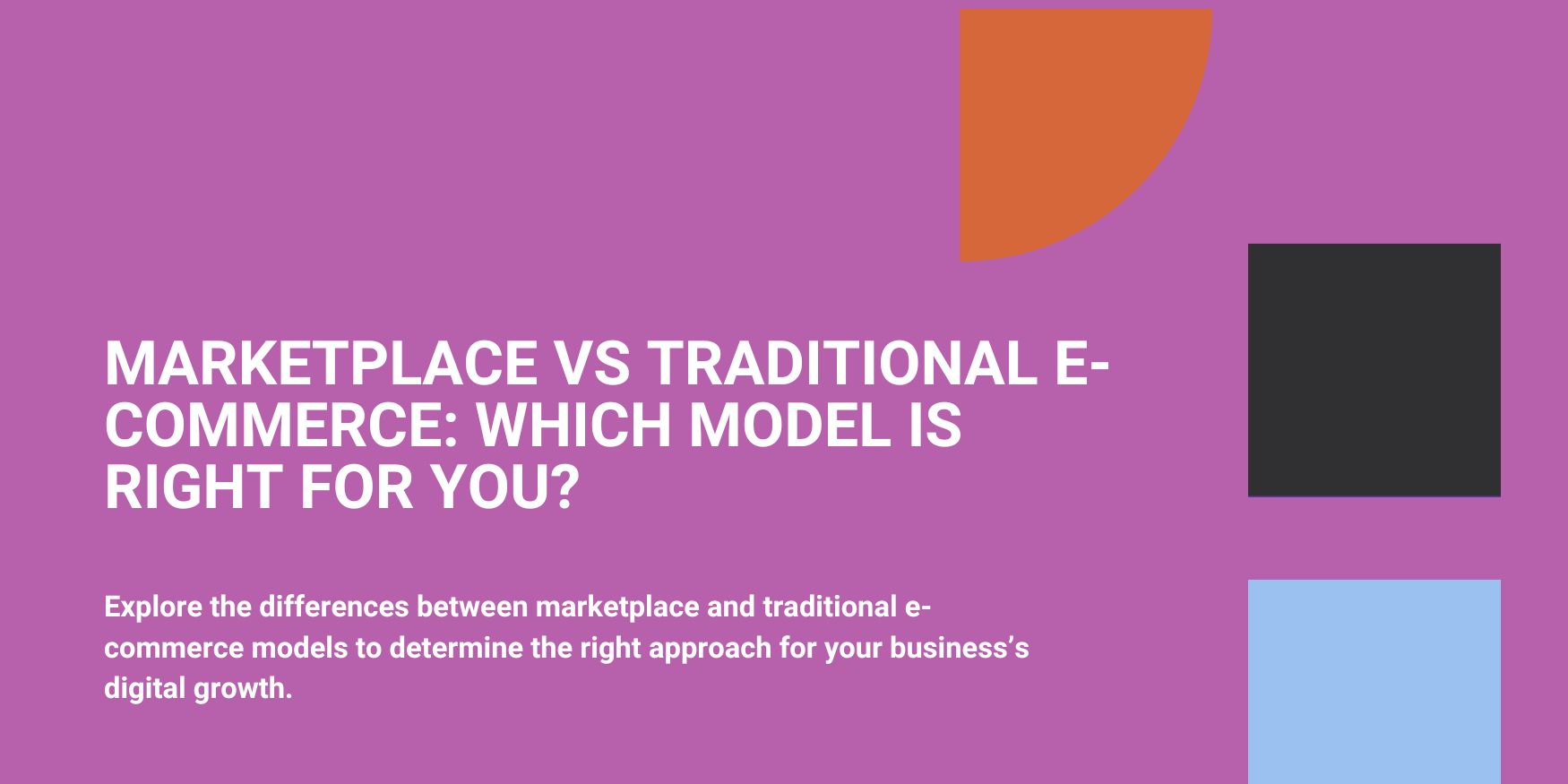 Marketplace vs Traditional E-commerce: Which Model is Right for You?