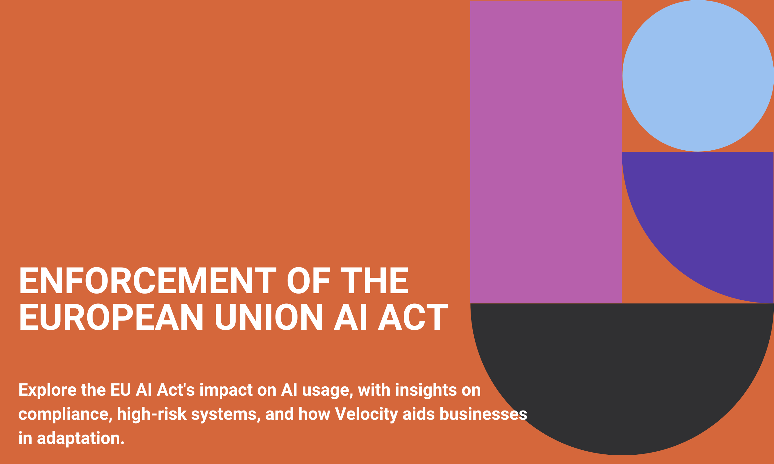 Enforcement of the European Union AI Act