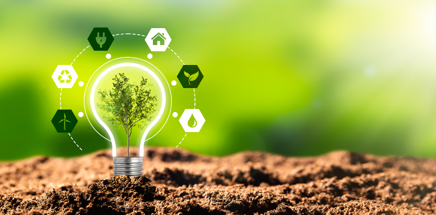 Sustainable growth1